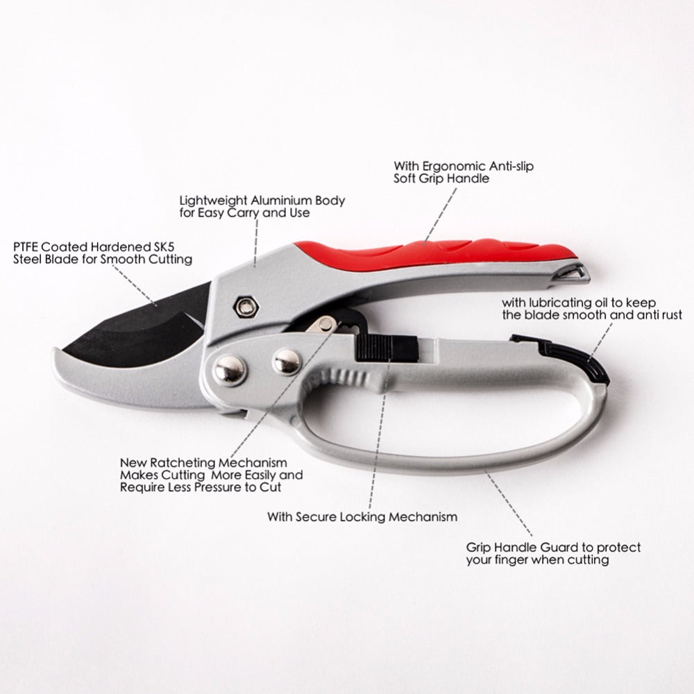 Household trimming scissors - Rightseason