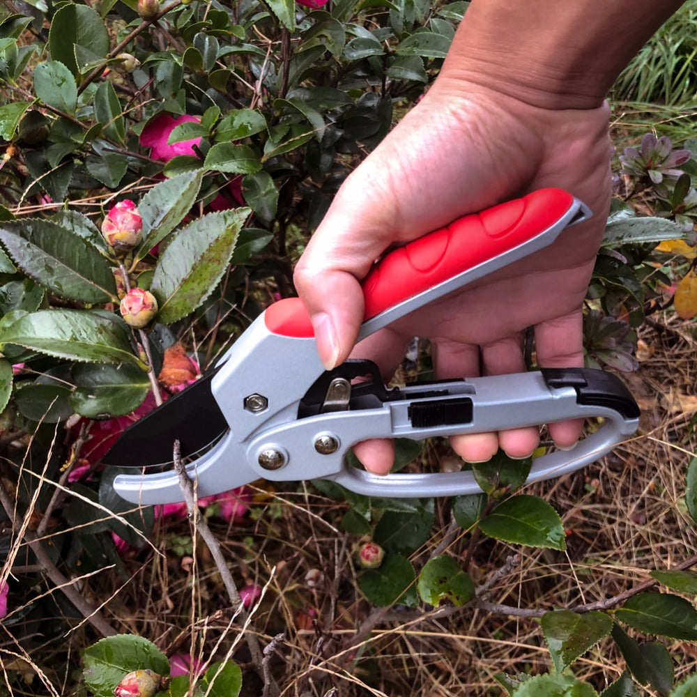 Household trimming scissors - Rightseason